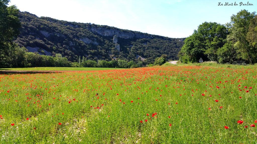 Le Mas Du Paulou Vallon-Pont-dʼArc Δωμάτιο φωτογραφία